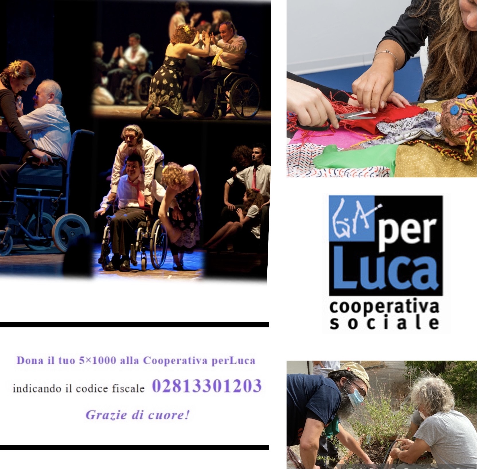 5-x-1.000-cooperativa-perluca 5-x-1.000-cooperativa-perluca